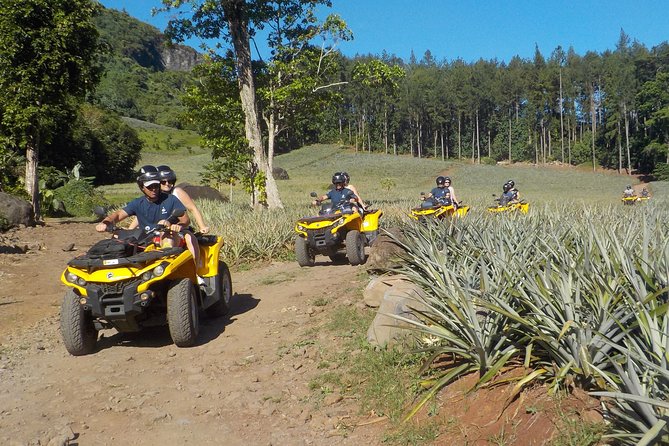 Small Combo 2h30 Quad + 1h Jetski - The morning quad ride through Opunohu