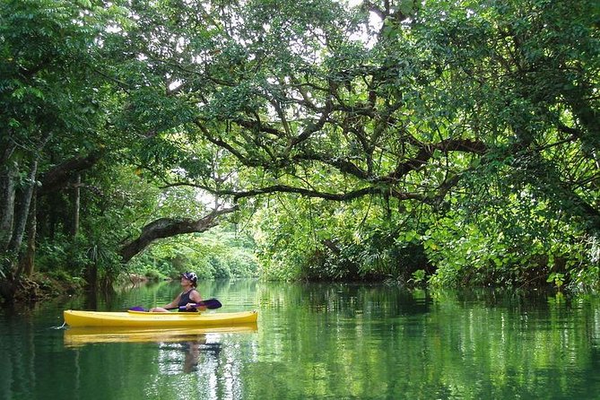 Small Group River Kayaking Tour from Port Vila - A Quiet River Escape From Port Vila