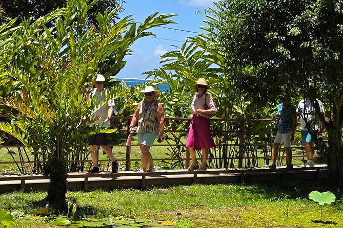 Small Group Shared Half Day Tahiti Tour Waterfalls&Scenic Coast - Cool air at Mara’a Grotto