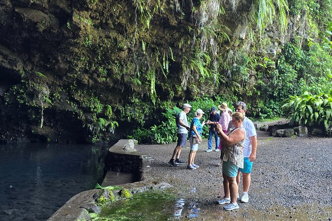 Small Group Shared Tahiti Circle Island Waterfalls and Views - Vaipahi Water Gardens: plants, springs, and easy paths