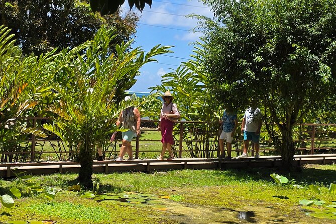 Small Group Shared Tahiti Circle Island Waterfalls and Views - Is $115 a fair price for four and a half hours?