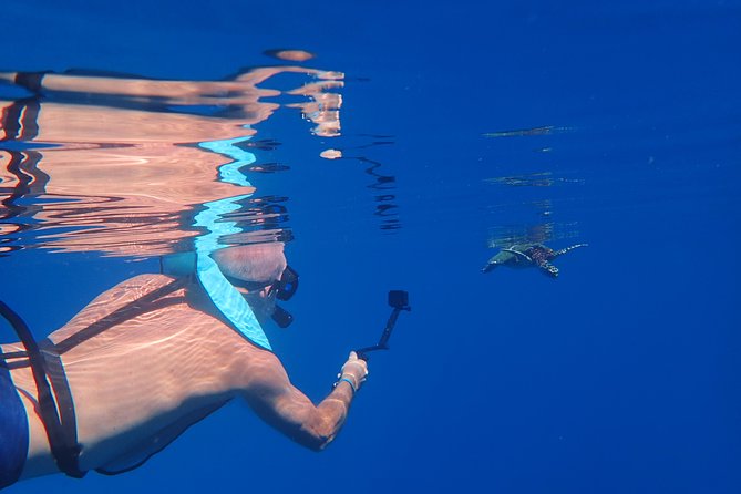 Small group snorkeling (5 people max): Turtles at 7:30am - Photos are a useful extra, not a small detail