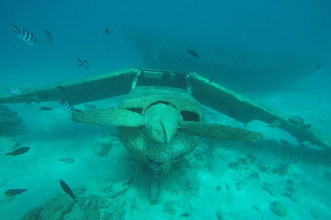 Small group snorkeling (5 people max): wrecks & tropical fishes at 1:00pm - About 70 minutes over wrecks and coral