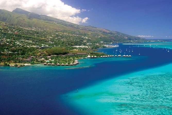 Small group snorkeling (5 people max): wrecks & tropical fishes at 1:00pm - A small group that feels close to private