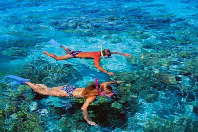 Small group snorkeling (5 people max): wrecks & tropical fishes at 1:00pm - The complimentary underwater photos