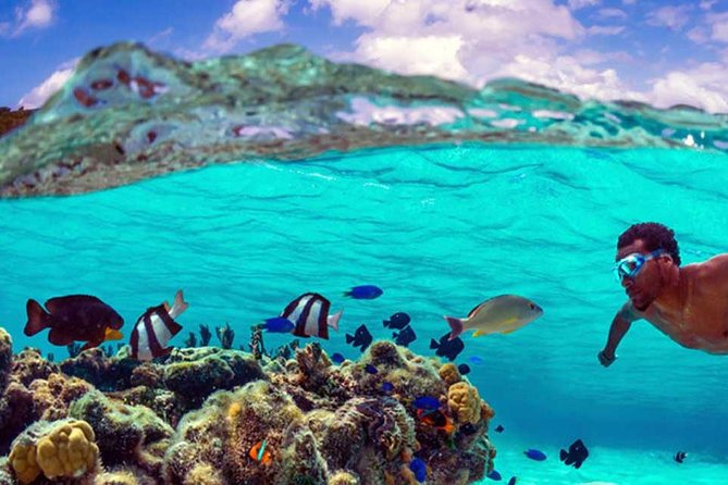 Small group snorkeling (5 people max): wrecks & tropical fishes at 10:30am - Weather, Wind, and Rough Water