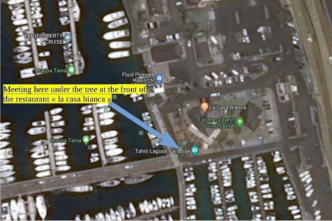 Small group snorkeling (5 people max): wrecks & tropical fishes at 10:30am - The Aquarium: A Plane, Two Boats, and Coral