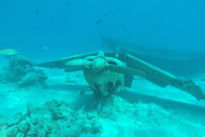 Small group snorkeling (5 people max): wrecks & tropical fishes at 3:30pm - Key points to know