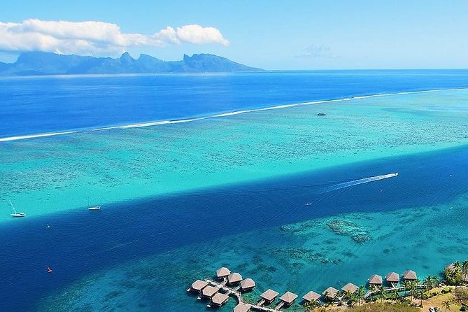 Small group snorkeling (5 people max): wrecks & tropical fishes at 3:30pm - Three wrecks at Tahiti’s Aquarium