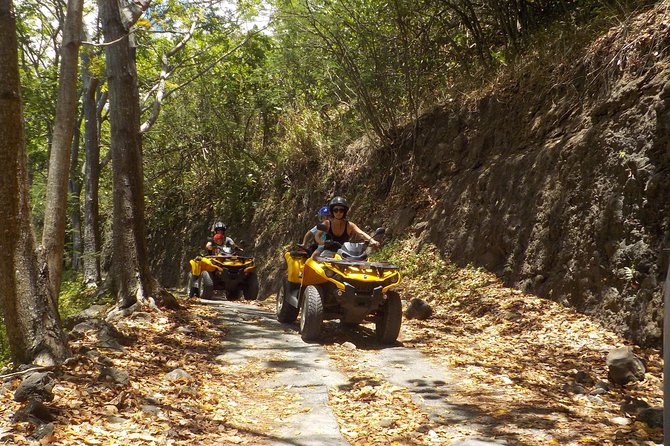 Small Quad Tour 2h30 Quad excursion in Moorea (single or two-seater) - Belvedere Lookout and the two-bay view