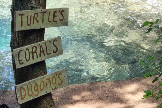 Snorkeling at Top Rock with Yumi Tours - Key points to know before you book