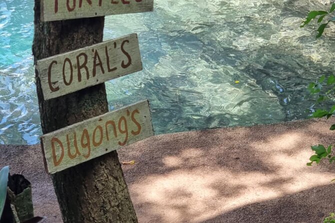 Snorkeling at Top Rock with Yumi Tours - Snorkeling around Eton Lagoon
