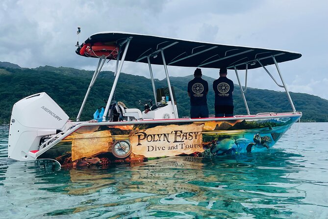 Snorkeling EN Small Group Tour in Tahiti - Punaauia and the early search for long-billed dolphins