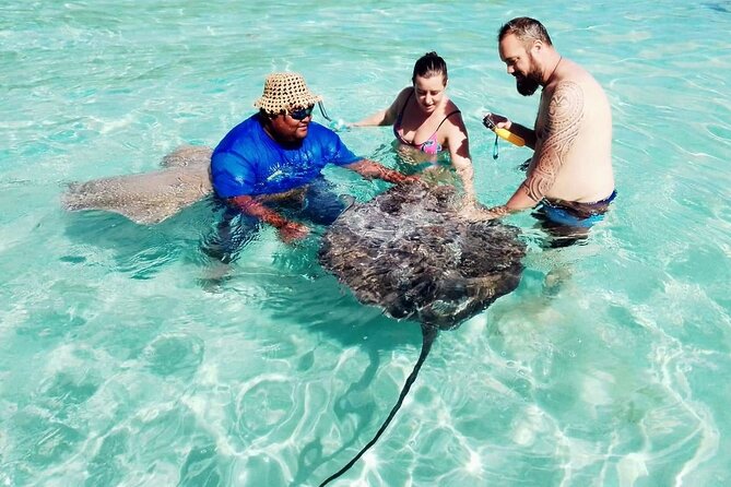 Snorkeling excursion and encounter with marine fauna in Moorea - Why this Moorea boat trip is worth considering