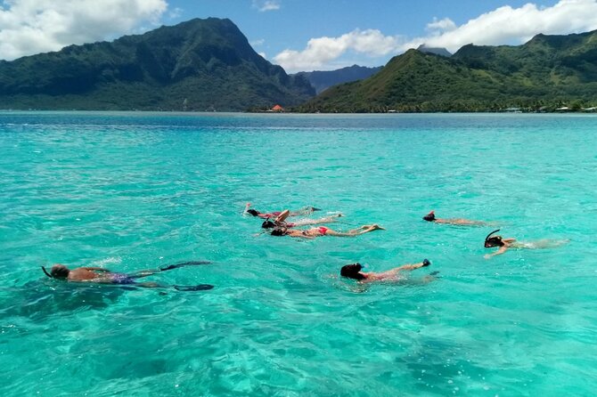 Snorkeling excursion and encounter with marine fauna in Moorea - First snorkeling stop: fish and coral