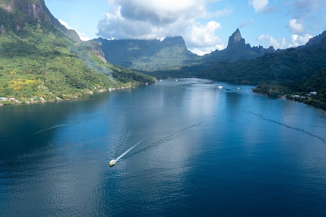 Snorkeling excursion and encounter with marine fauna in Moorea - What the six hours feel like