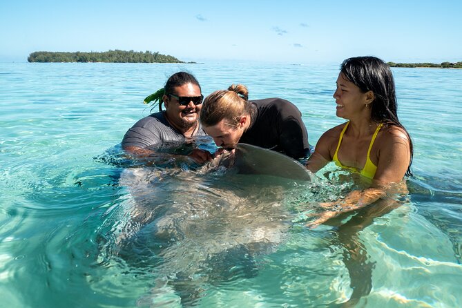 Snorkeling excursion and encounter with marine fauna in Moorea - Meeting the yellow boat at 9:00 am