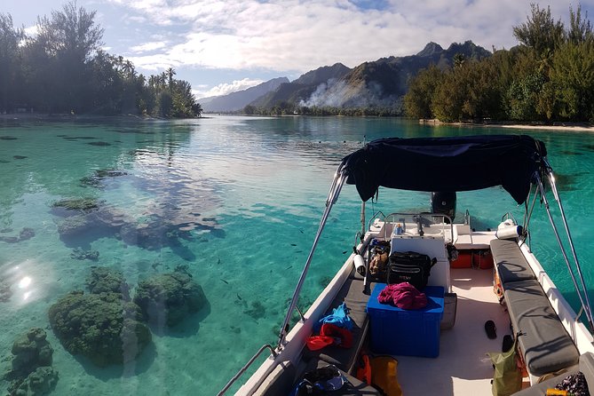 Snorkeling excursion, discovery of the lagoon, small group. - The Moorea lagoon in a six-person boat