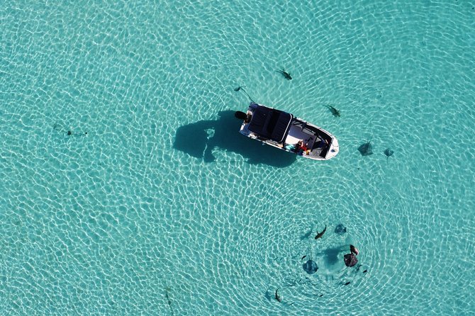 Snorkeling excursion, discovery of the lagoon, small group. - What the wildlife stops are really like