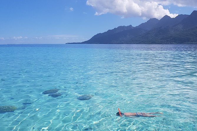 Snorkeling excursion, discovery of the lagoon, small group. - Equipment, snacks, and what to pack