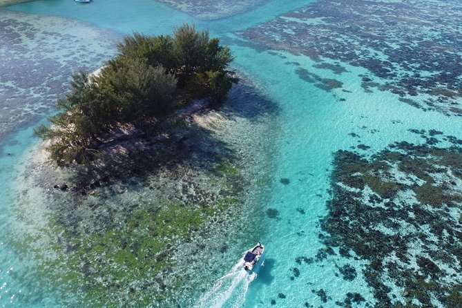 Snorkeling excursion, discovery of the lagoon, small group. - Who will enjoy this trip most