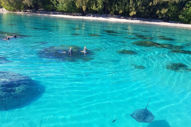 Snorkeling excursion, discovery of the lagoon, small group. - Timing, weather, and cancellation details