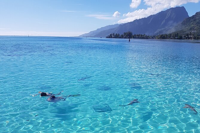 Snorkeling excursion, discovery of the lagoon, small group. - Why the small group improves the experience
