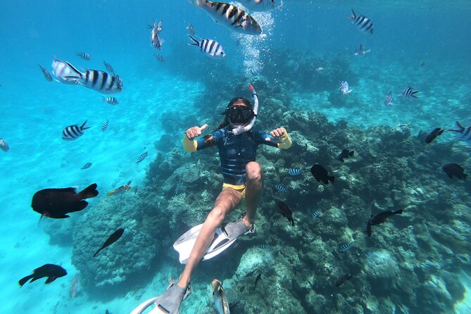 Snorkeling immersion in the wonders of Tahiti - Why the small group matters