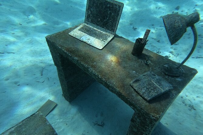 Snorkeling picnic in 4h30 with lunch in Tahiti - Coral gardens and the chance to swim with turtles