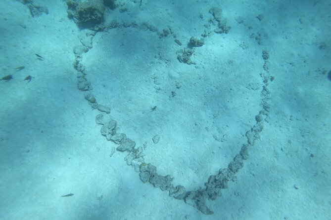 Snorkeling picnic in 4h30 with lunch in Tahiti - How much time do you really spend in the water?