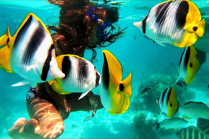 Snorkeling Tour in Moorea Aquatic Adventure Half Day - Is $182.20 a fair price?