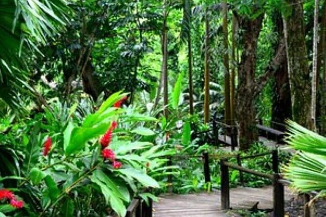 South Sea Island Half Day with Lunch & Drinks - Transfers deserve careful attention