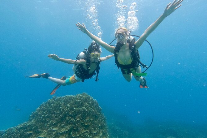 StandUp PaddleBoard Lesson and Experience Scuba Diving Package! - Key Points Before You Book