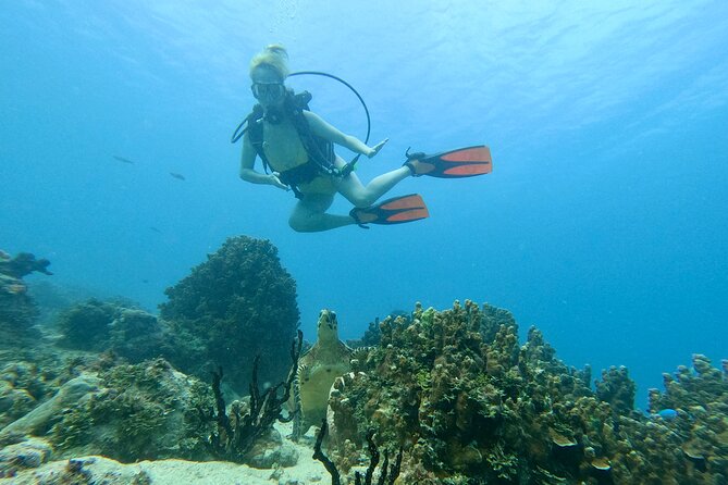 StandUp PaddleBoard Lesson and Experience Scuba Diving Package! - Learning to Stand on a Paddleboard