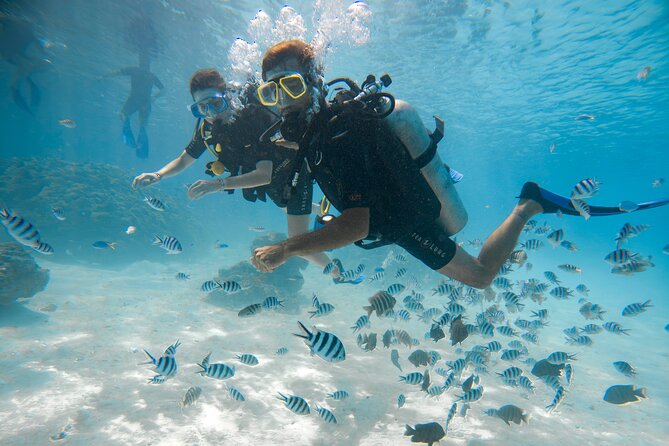 Stroll out of time on the lagoon of Bora Bora - Choosing between an easy downwind route and the reef