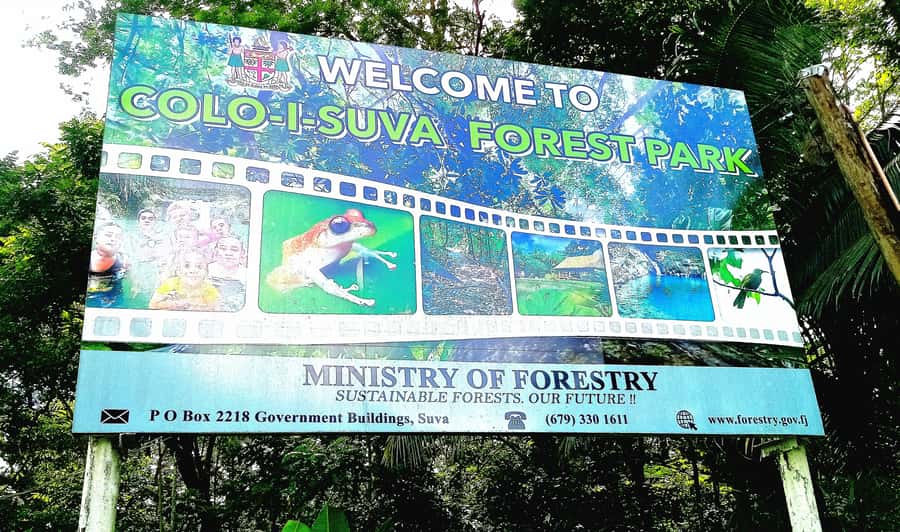 Suva Cruise Ship Tour - One hour at the Fiji Museum