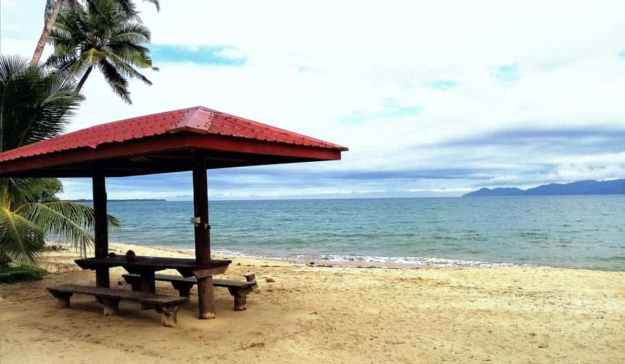 Suva Cruise Ship Tour - Walking and swimming at Colo-I-Suva Forest Park