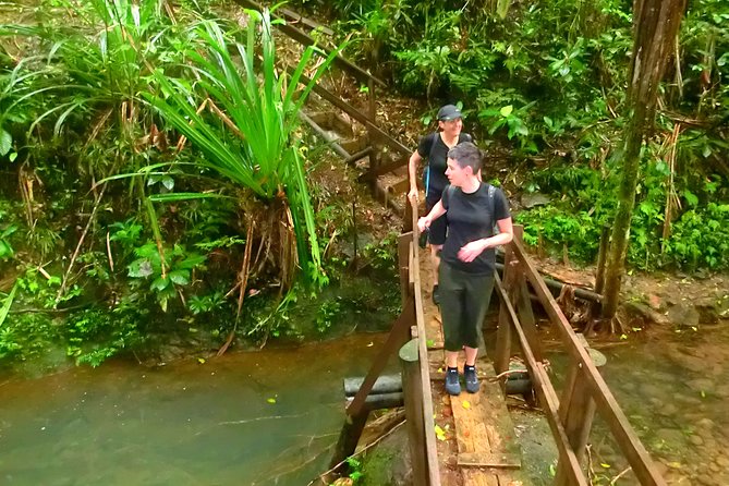 Suva Customized tour- Private - Suva your way, within a three-hour window