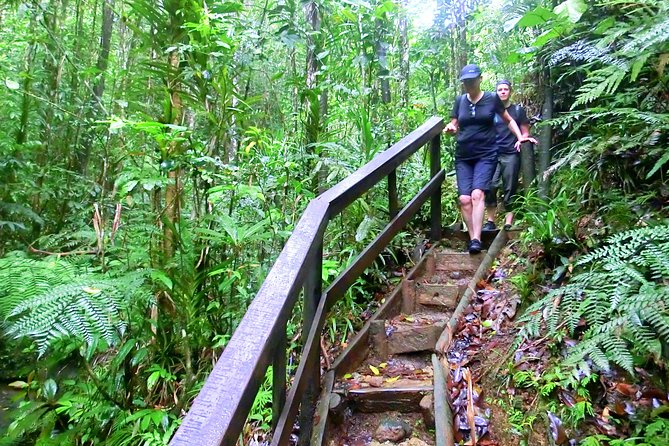 Suva Customized tour- Private - How the guide shapes the experience