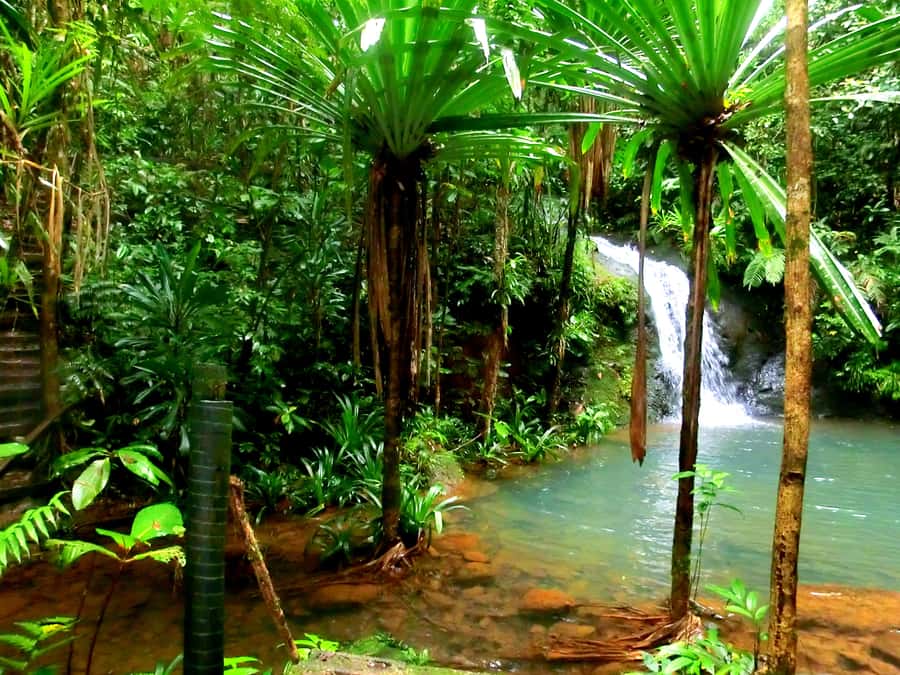 Suva: Fijian Nature and Waterfall Tour - Two park entrances, two ways to reach the pools