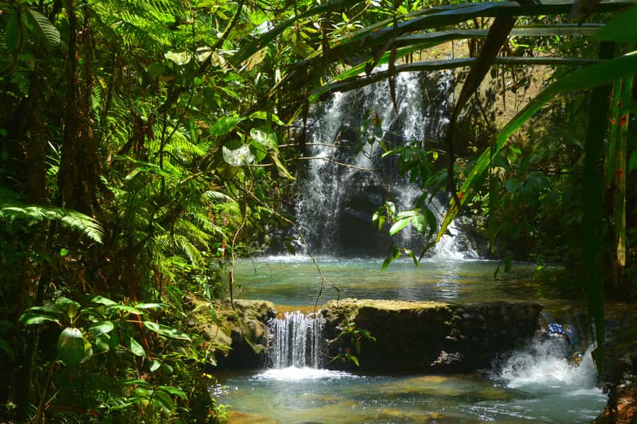 Suva: Fijian Nature and Waterfall Tour - Waisila Falls and the natural swimming pools
