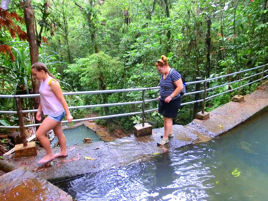 Suva: Fijian Nature and Waterfall Tour - Time for photographs, food, and a slower pace