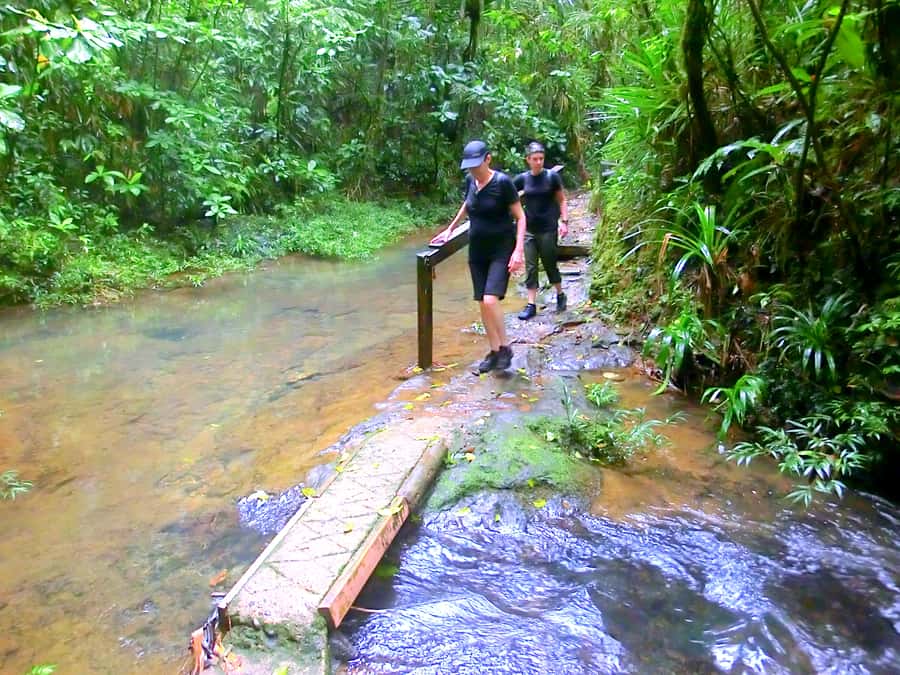 Suva: Fijian Nature and Waterfall Tour - What the $69 price delivers