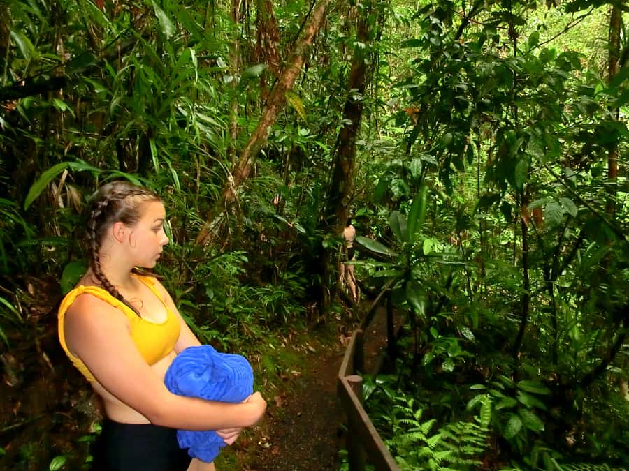 Suva: Fijian Nature and Waterfall Tour - Who should book this outing?