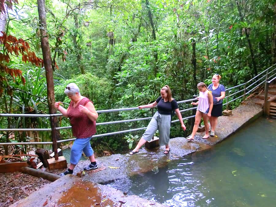 Suva: Fijian Nature and Waterfall Tour - Practical details before you go