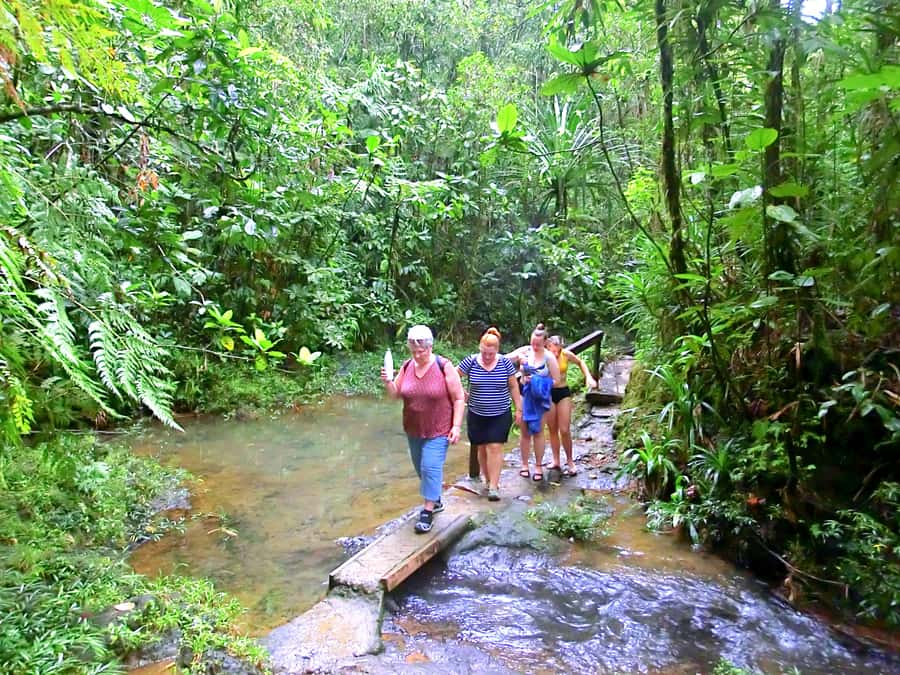 Suva: Half Day City Sightseeing Tour - Thurston Botanical Gardens: the tour’s calmest stop