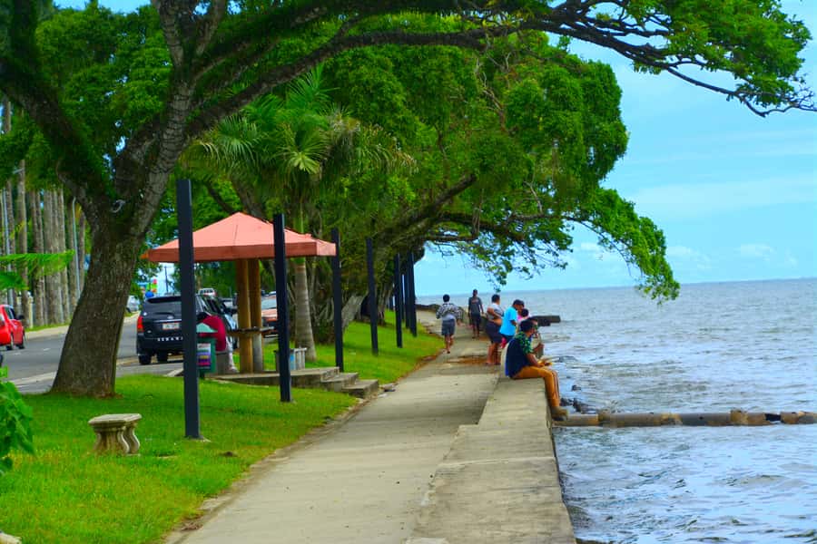 Suva: Half Day City Sightseeing Tour - Markets, lunch, and the practical side of Suva