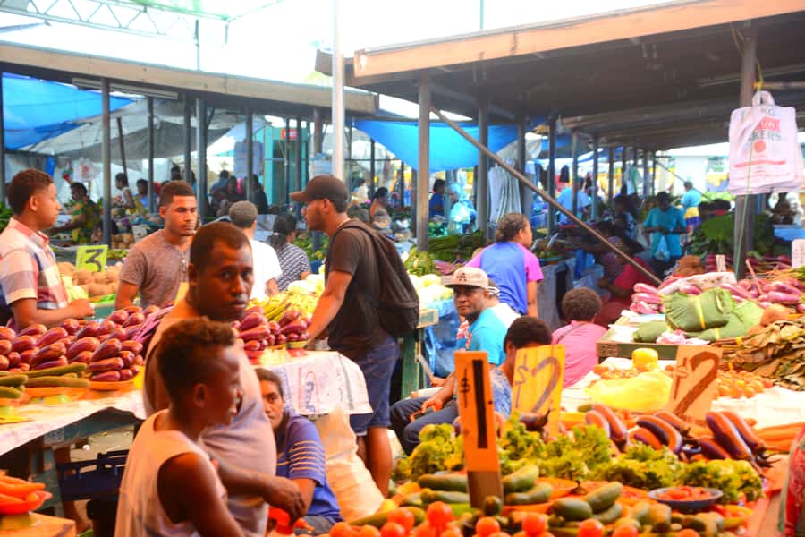 Suva: Half Day City Sightseeing Tour - What the $79 price really buys you