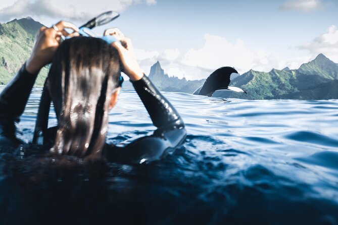 Swimming with Whales in Moorea (Half Day tour) - Why the six-person limit matters
