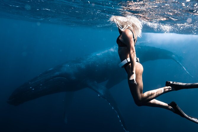 Swimming with Whales in Moorea (Half Day tour) - What the price means at $305.30